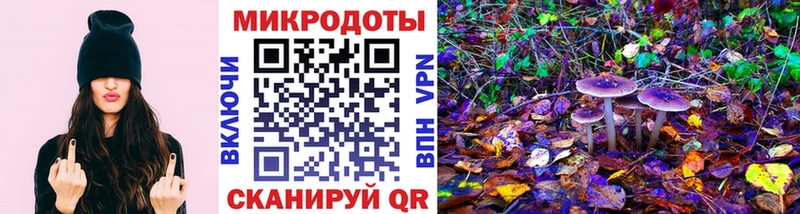Псилоцибиновые грибы мицелий  ссылка на мегу сайт  Искитим  магазин продажи  