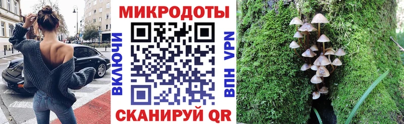 Галлюциногенные грибы Psilocybe Искитим